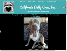 Tablet Screenshot of californiabullycrew.org